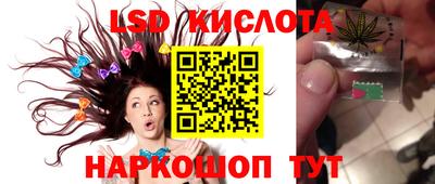 эйфоретик Гатчина