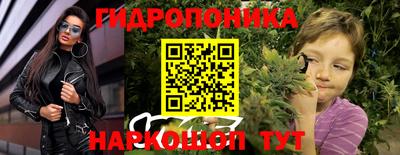 эйфоретик Гатчина
