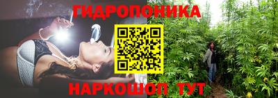эйфоретик Гатчина